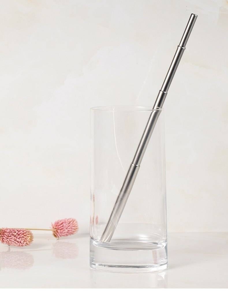 Portable Foldable Stainless Steel Straw