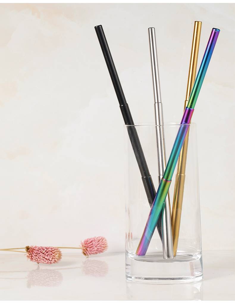 Portable Foldable Stainless Steel Straw
