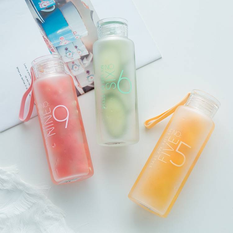 Portable Glass Water Bottle with Rope