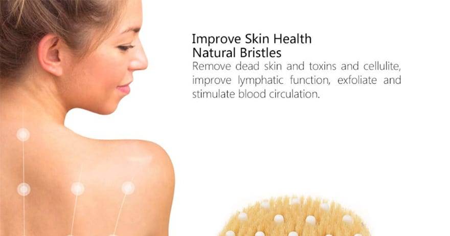 Wooden Massage Bath Brush Natural Bristle Exfoliation Fat Removal Shower Bbrush Long Wooden Handle Dry Brushing D30