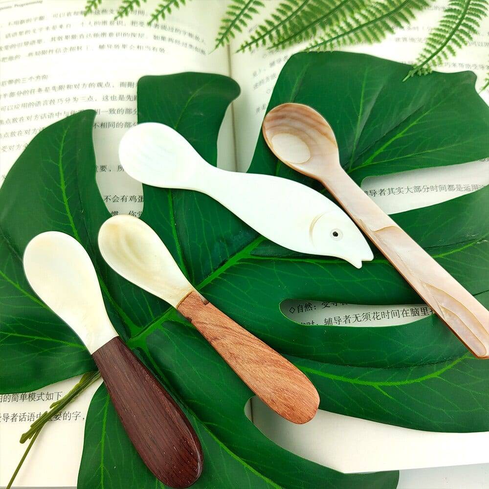 Natural conch shell spoon caviar spoon seashells coffee spoon bag Tablespoon