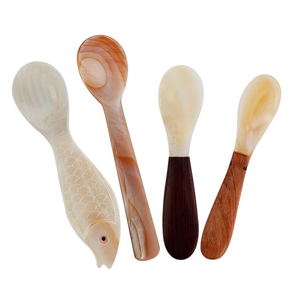 Natural conch shell spoon caviar spoon seashells coffee spoon bag Tablespoon