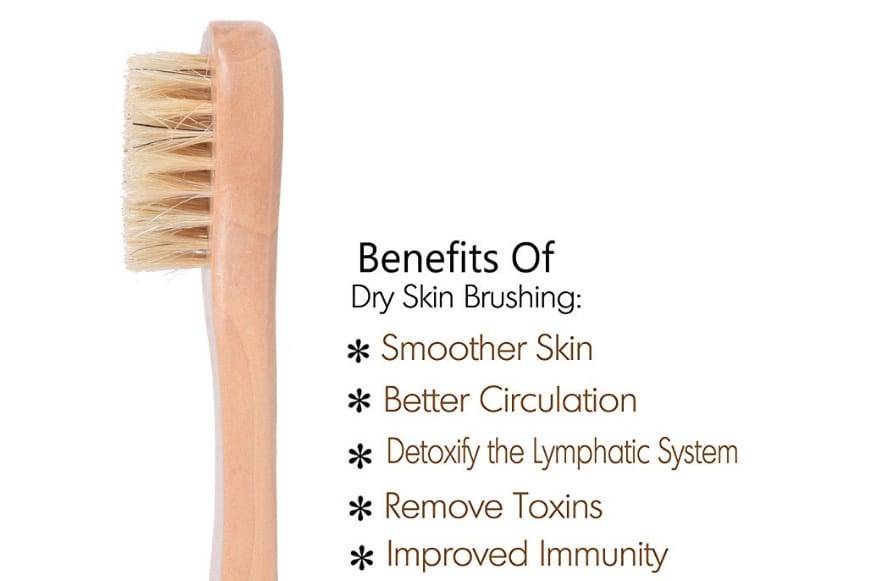 Natural Bristle Exfoliation Bath Brush Fat Removal Shower Bbrush Wooden Massage Long Wooden Handle Dry Brushing D40