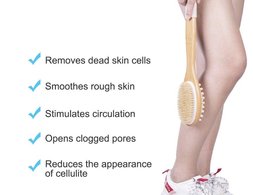 Bath Dry Body Brush Natural Bristles Back Scrubber With Long Wooden Handle For Cellulite And Exfoliating Full Body Massage D40