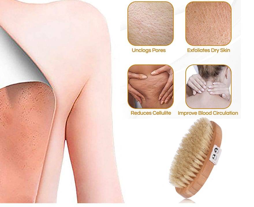 Bath Dry Body Brush Natural Bristles Back Scrubber With Long Wooden Handle For Cellulite And Exfoliating Full Body Massage D40